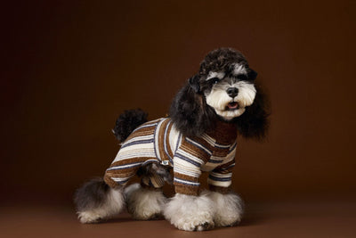 Suéter Térmico de Rayas para Perros Pequeños - Schnauzer, Bichón y Maltés - Image 32