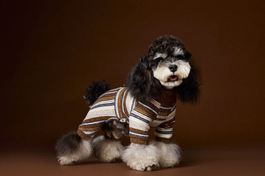 Suéter Térmico de Rayas para Perros Pequeños - Schnauzer, Bichón y Maltés - Image 32