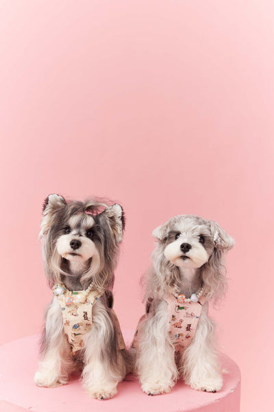 Falda Denim con Tirantes para Perros Pequeños Schnauzer y Maltés - Image 41