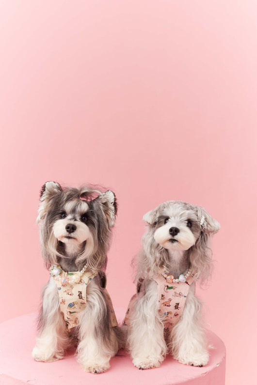 Falda Denim con Tirantes para Perros Pequeños Schnauzer y Maltés - Image 41