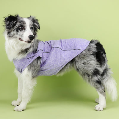 Ropa Reflectante para Perros Pequeños - Chaleco Luminoso Teddy, Pomerania y Pug - Image 37