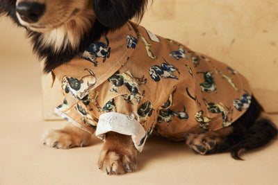 Playera Estampada con Razas de Perros - Dachshund, Schnauzer, Bichón y Maltés - Image 27