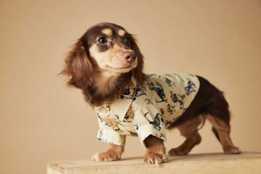 Playera Estampada con Razas de Perros - Dachshund, Schnauzer, Bichón y Maltés - Image 29