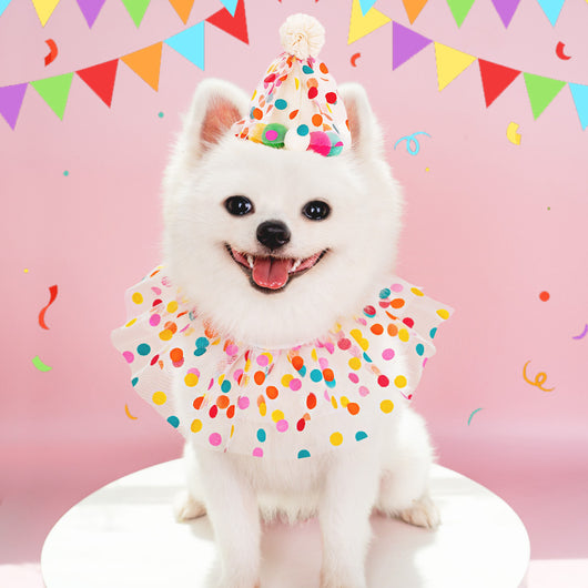 Traje de Cumpleaños para Perro con Encaje y Lunares - Image 16