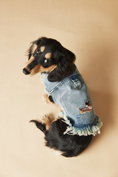Chaleco Denim sin Mangas con Bordado Schnauzer Maltés Teddy - Image 27