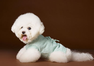 Suéter sin Mangas para Perro Bichón Maltés con Cabeza de Oso 3D - Image 16