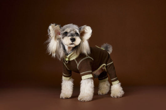 Ropa para Perros Teddy Schnauzer Bichon Bicolor Cómoda - Image 49