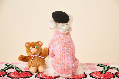 Cardigan Tejido para Perras Otoño e Invierno - Suéter Colorido - Image 26
