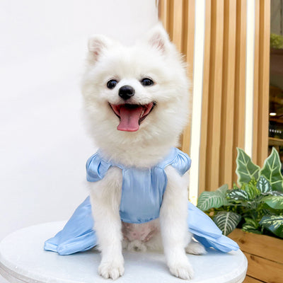 Vestido de Boda para Mascotas - Ropa Elegante para Perros y Gatos - Image 25