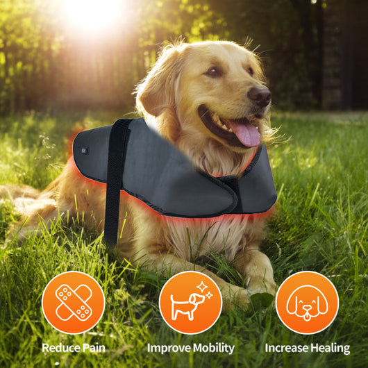 Dispositivo de Fototerapia Infrarroja para Mascotas - Tamaño L con Temporizador Inalámbrico - Image 15