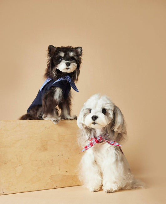 Chaleco Marinero sin Mangas para Mascotas - Schnauzer, Bichón, Yorkshire y Salchicha - Image 32