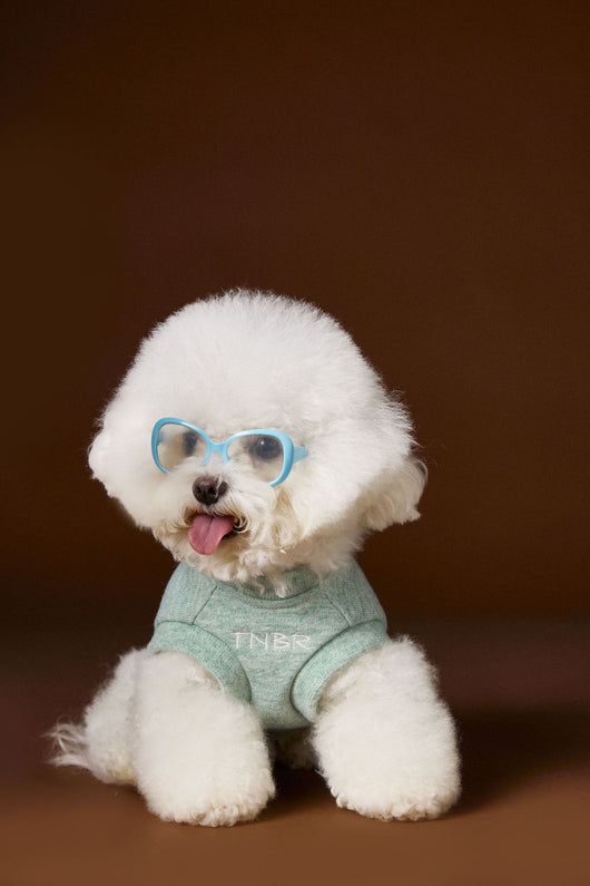Suéter sin Mangas para Perro Bichón Maltés con Cabeza de Oso 3D - Image 22