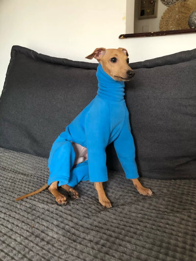 Abrigo Térmico Reversible para Doberman - Image 10