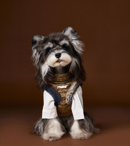 Chaleco Sin Mangas para Mascotas Schnauzer Bichón Rayas Arcoíris Variegadas - Image 24