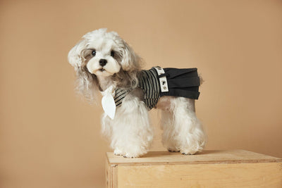 Vestido Rayado Primavera y Verano para Perros - Image 23