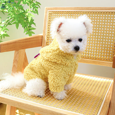 Suéter Casual para Mascotas Cuello Redondo - Image 17