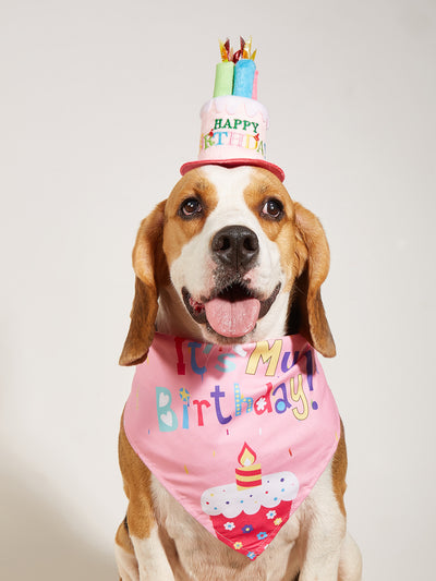 Babero Triangular Estampado con Diseño de Perrito para Cumpleaños - Image 24