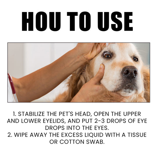Gotas Oftálmicas para Perros y Gatos - Cuidado Ocular Profesional - Image 9