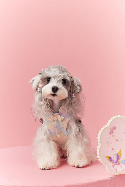 Chaleco Cheongsam Estilo Neo-Chino para Mascotas Pequeños - Schnauzer y Bichón - Image 32