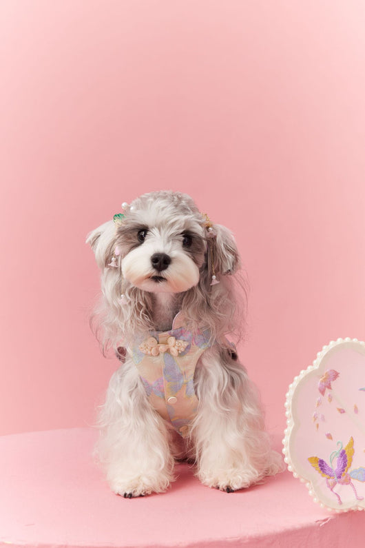 Chaleco Cheongsam Estilo Neo-Chino para Mascotas Pequeños - Schnauzer y Bichón - Image 32