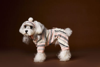 Suéter Térmico de Rayas para Perros Pequeños - Schnauzer, Bichón y Maltés - Image 34