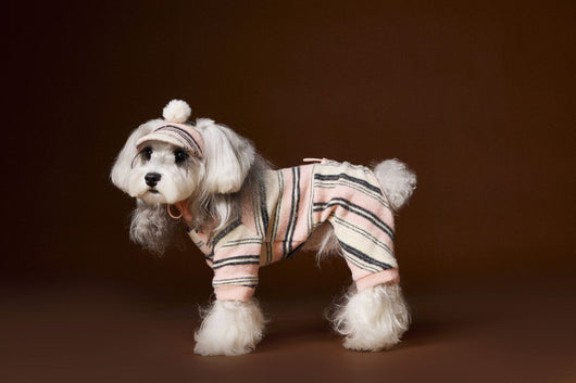 Suéter Térmico de Rayas para Perros Pequeños - Schnauzer, Bichón y Maltés - Image 34