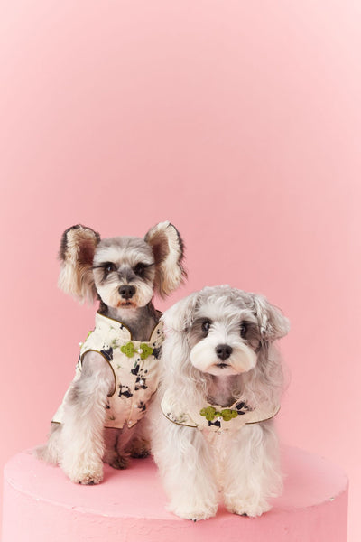 Chaleco sin Mangas Estilo Chino para Mascotas - Diseño Panda Teddy Schnauzer Bichón - Image 50