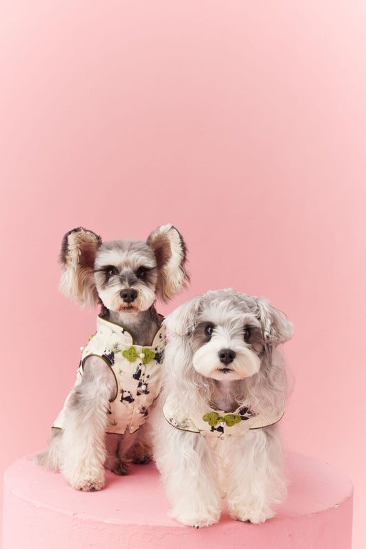 Chaleco sin Mangas Estilo Chino para Mascotas - Diseño Panda Teddy Schnauzer Bichón - Image 50