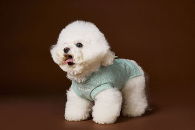 Suéter sin Mangas para Perro Bichón Maltés con Cabeza de Oso 3D - Image 10