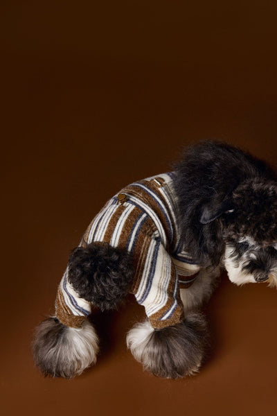 Suéter Térmico de Rayas para Perros Pequeños - Schnauzer, Bichón y Maltés - Image 28