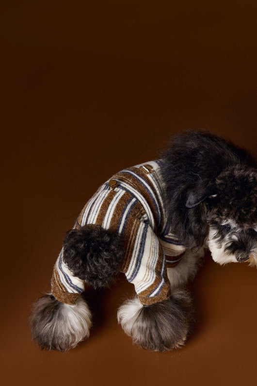 Suéter Térmico de Rayas para Perros Pequeños - Schnauzer, Bichón y Maltés - Image 28