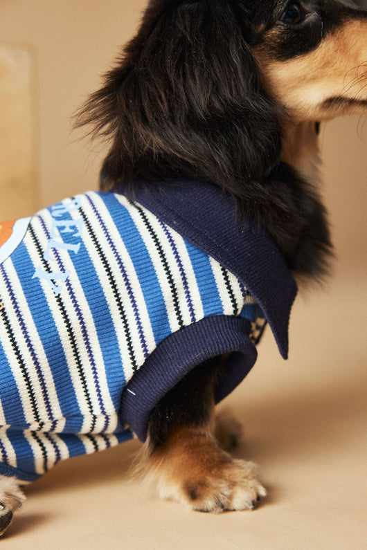 Polo Rayado para Perros Tony Bear - Ropa Cómoda y Elegante - Image 42
