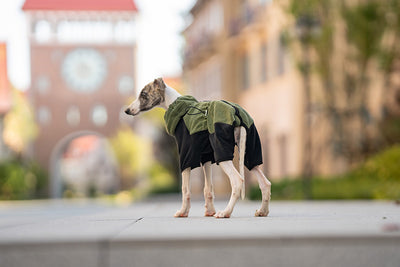 Abrigo Térmico para Mascotas con Cuello Desmontable Resistente al Viento - Image 22