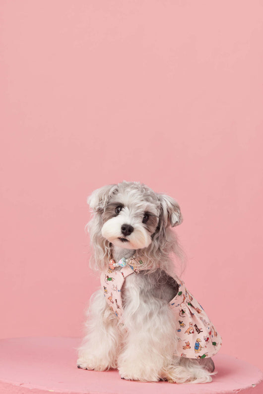Falda Denim con Tirantes para Perros Pequeños Schnauzer y Maltés - Image 19