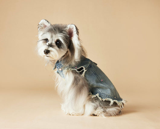 Chaleco Denim sin Mangas con Bordado Schnauzer Maltés Teddy - Image 41