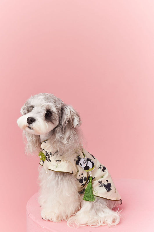 Chaleco sin Mangas Estilo Chino para Mascotas - Diseño Panda Teddy Schnauzer Bichón - Image 28