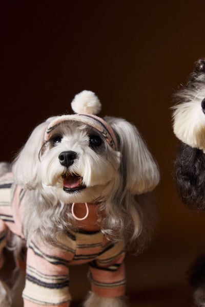Suéter Térmico de Rayas para Perros Pequeños - Schnauzer, Bichón y Maltés - Image 46