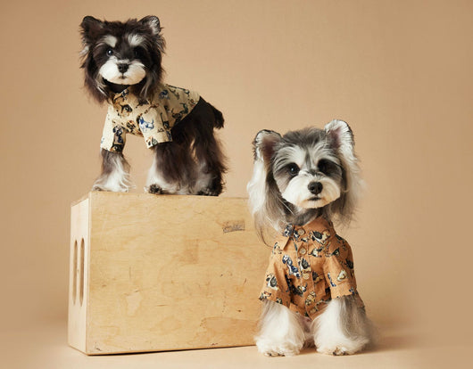 Playera Estampada con Razas de Perros - Dachshund, Schnauzer, Bichón y Maltés - Image 21