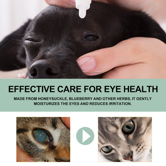 Gotas Oftálmicas para Perros y Gatos - Cuidado Ocular Profesional - Image 19