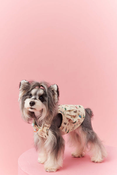 Falda Denim con Tirantes para Perros Pequeños Schnauzer y Maltés - Image 39