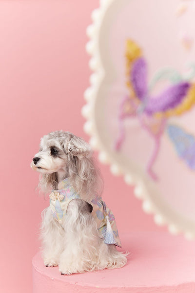 Chaleco Cheongsam Estilo Neo-Chino para Mascotas Pequeños - Schnauzer y Bichón - Image 52