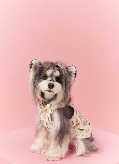 Falda Denim con Tirantes para Perros Pequeños Schnauzer y Maltés - Image 21