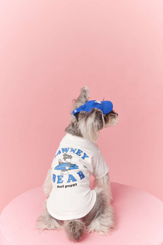 Ropa de Verano para Perros Pequeños - Teddy Schnauzer Bichón - Image 12
