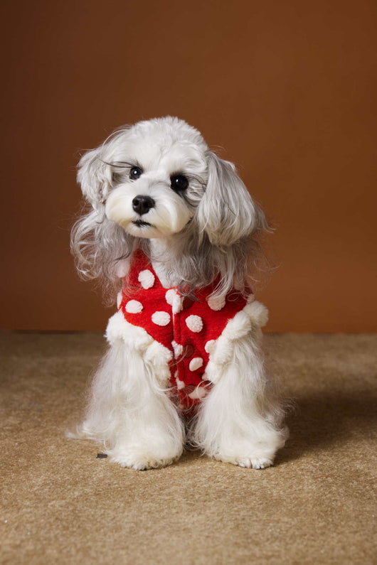 Chaleco Abrigo Rojo Lunares Sin Mangas con Capucha Año Nuevo - Image 27