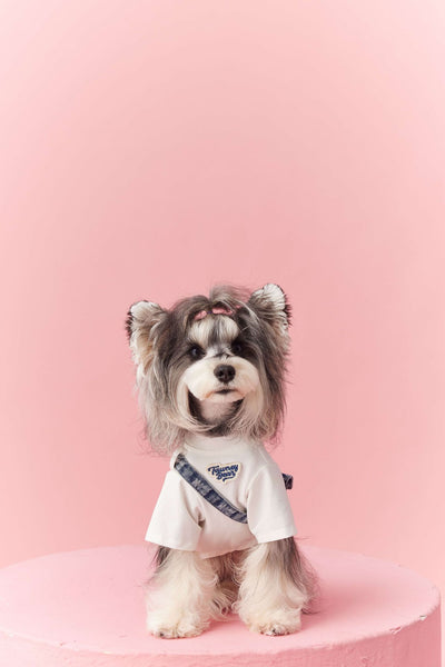 Ropa de Verano para Perros Pequeños - Teddy Schnauzer Bichón - Image 46