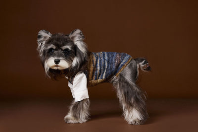 Chaleco Sin Mangas para Mascotas Schnauzer Bichón Rayas Arcoíris Variegadas - Image 38