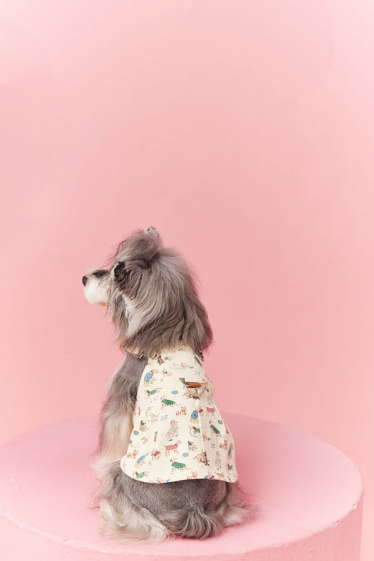 Falda Denim con Tirantes para Perros Pequeños Schnauzer y Maltés - Image 61