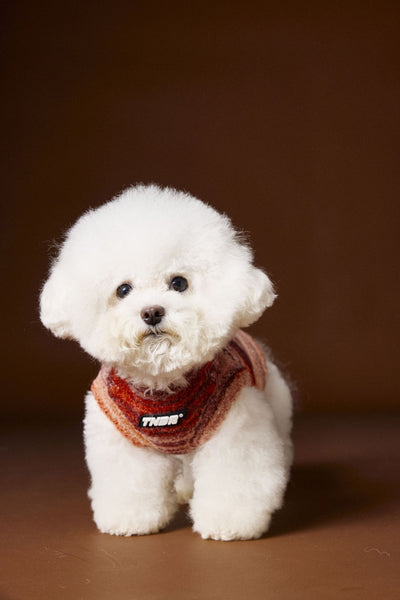 Chaleco Sin Mangas para Mascotas Schnauzer Bichón Rayas Arcoíris Variegadas - Image 28