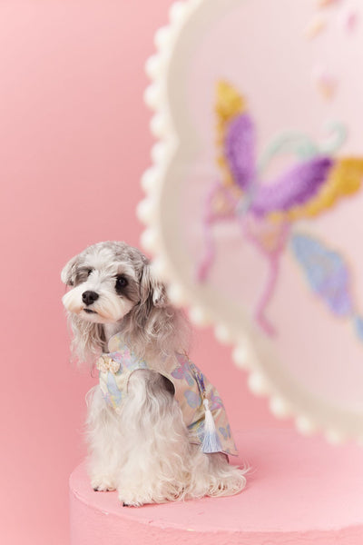 Chaleco Cheongsam Estilo Neo-Chino para Mascotas Pequeños - Schnauzer y Bichón - Image 24