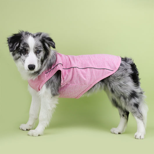Ropa Reflectante para Perros Pequeños - Chaleco Luminoso Teddy, Pomerania y Pug - Image 45